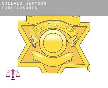 Collado Hermoso  foreclosures