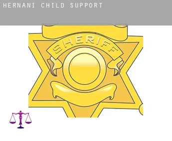 Hernani  child support