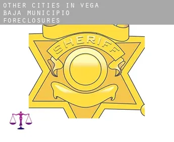 Other cities in Vega Baja Municipio  foreclosures