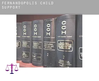 Fernandópolis  child support