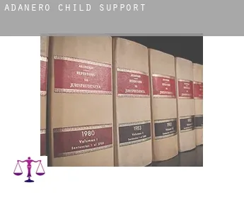 Adanero  child support