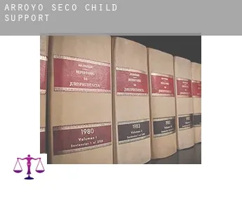 Arroyo Seco  child support