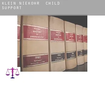 Klein Nieköhr  child support