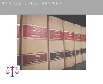 Oppeide  child support