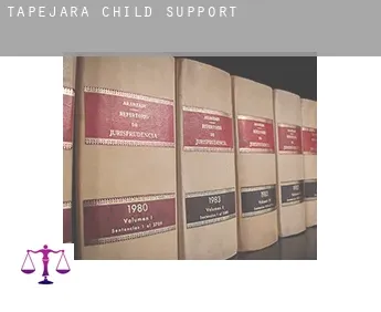 Tapejara  child support