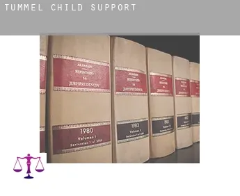 Tummel child support