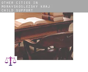 Other cities in Moravskoslezsky kraj  child support