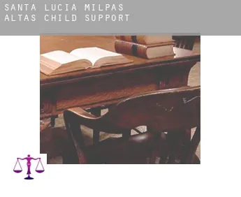 Santa Lucía Milpas Altas  child support