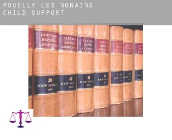 Pouilly-les-Nonains  child support