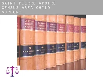 Saint-Pierre-Apôtre (census area)  child support