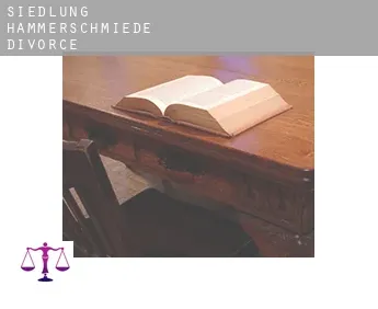Siedlung Hammerschmiede  divorce