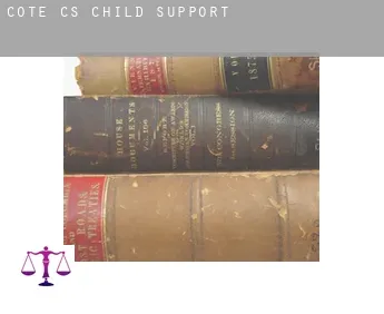 Côté (census area) child support
