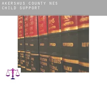 Nes (Akershus county)  child support