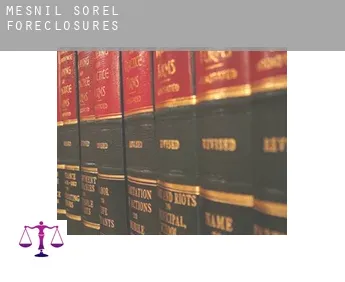 Mesnil-Sorel  foreclosures