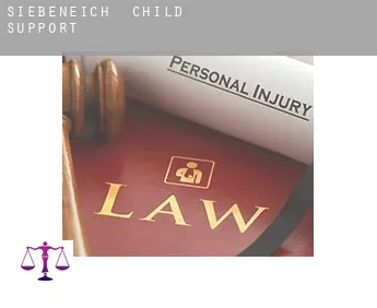 Siebeneich  child support