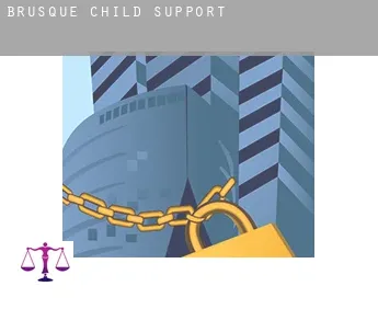 Brusque  child support