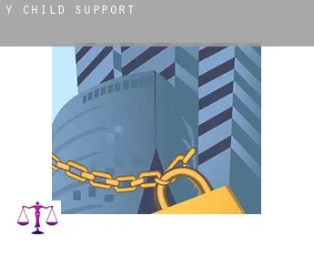 Y  child support
