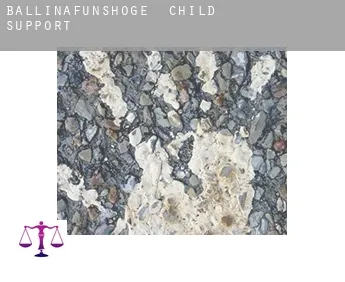 Ballinafunshoge  child support