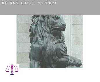 Balsas  child support