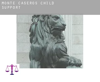 Monte Caseros  child support