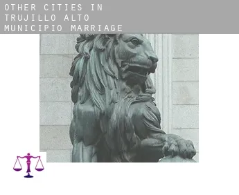 Other cities in Trujillo Alto Municipio  marriage