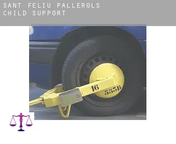 Sant Feliu de Pallerols  child support