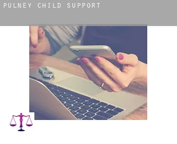 Pulney  child support