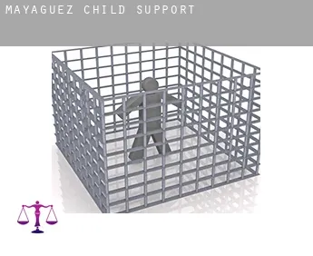 Mayaguez  child support