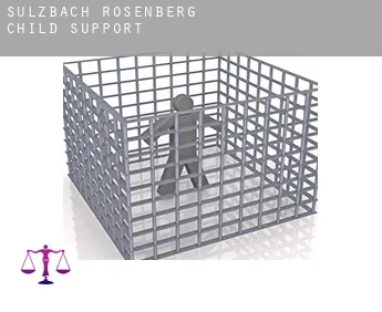 Sulzbach-Rosenberg  child support