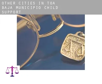 Other cities in Toa Baja Municipio  child support