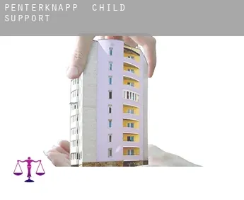 Penterknapp  child support