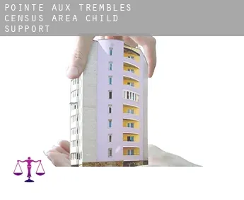 Pointe-aux-Trembles (census area)  child support