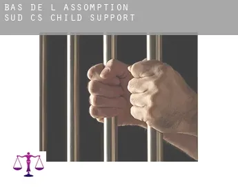 Bas-de-L'Assomption-Sud (census area)  child support