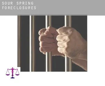 Sour Spring  foreclosures