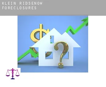 Klein Ridsenow  foreclosures