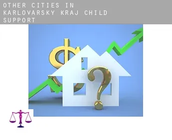 Other cities in Karlovarsky kraj  child support