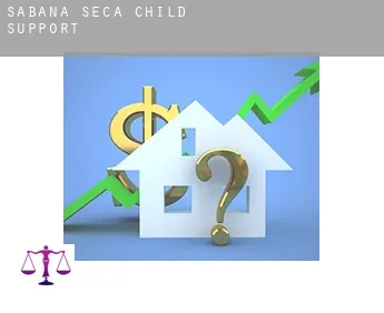 Sabana Seca  child support