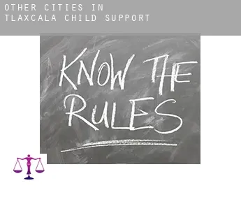 Other cities in Tlaxcala  child support