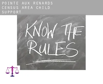 Pointe-aux-Renards (census area)  child support