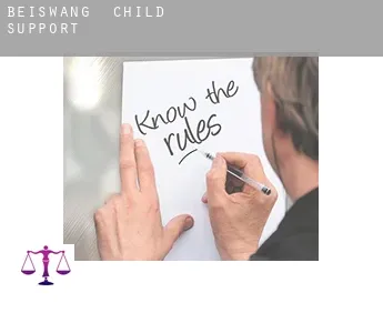 Beiswang  child support