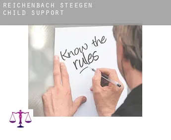 Reichenbach-Steegen  child support
