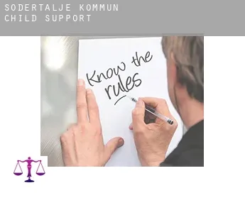 Södertälje Kommun  child support