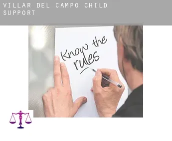 Villar del Campo  child support