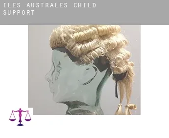 Iles Australes  child support