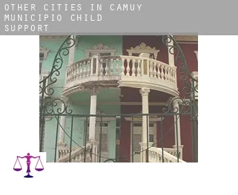 Other cities in Camuy Municipio  child support
