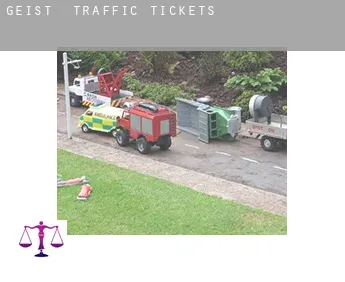 Geist  traffic tickets