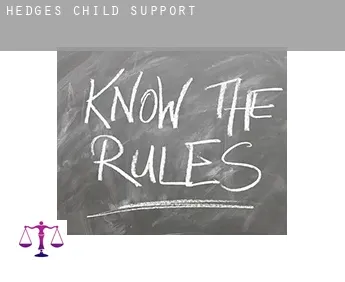 Hedges  child support