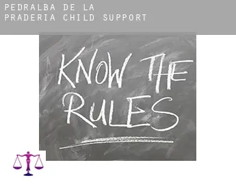 Pedralba de la Pradería  child support