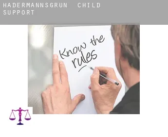 Hadermannsgrün  child support