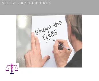 Seltz  foreclosures